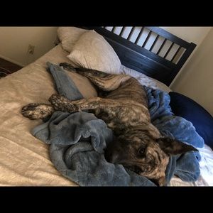 Meet your Posher, Xochi